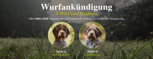 Wurfankündigung A-Wurf vom Weidborn