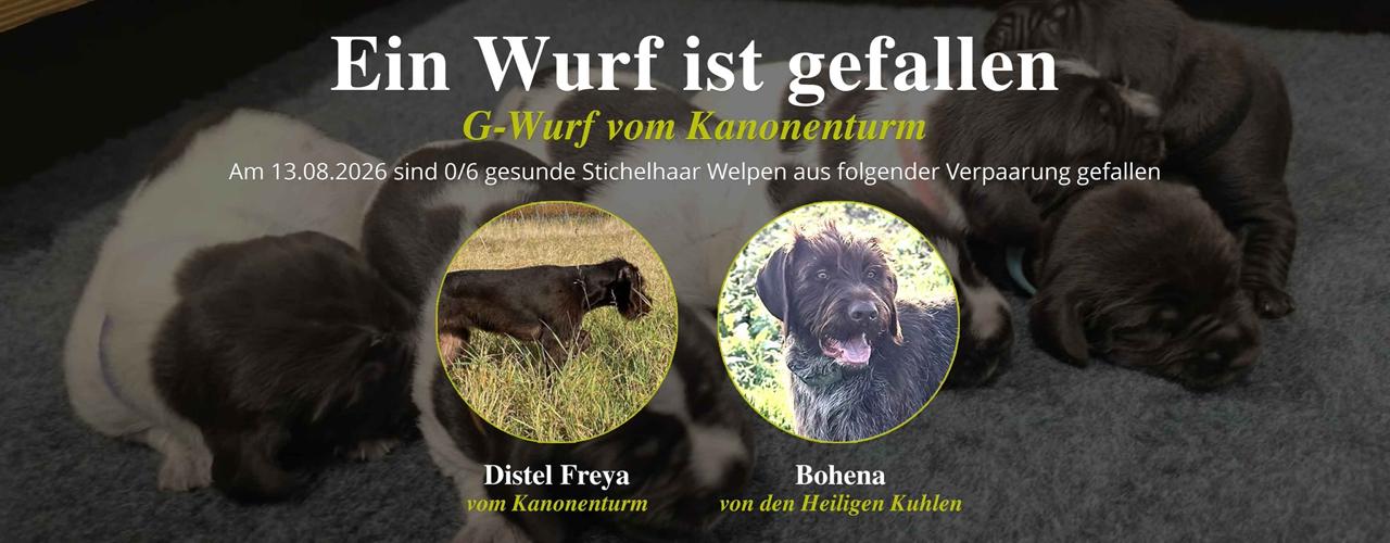 PHOTO-2026-08-22-13-44-17