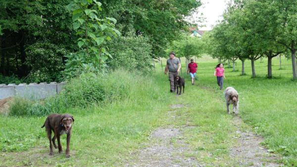 Impressionen-DSt-Treffen-Süd-24