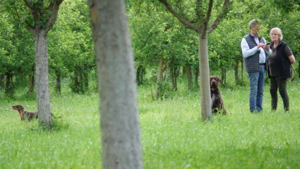 Impressionen-DSt-Treffen-Süd-25