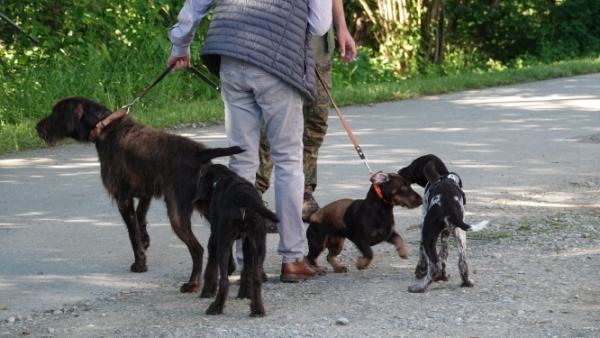 Impressionen-DSt-Treffen-Süd-5