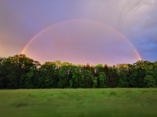 Regenbogen